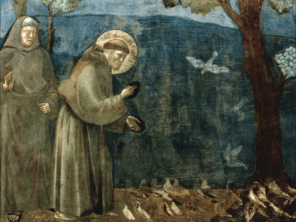 Frescos de Giotto sobre a vida S. Francisco de Assis.